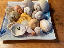 and my tenant left me this...