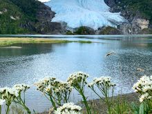 Another beautiful glacier 