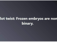 Ladies, harvest your eggs in Alabama. Harvest as many eggs as you can.
Request SSNs for them.
Come tax time, claim them all as dependents.
