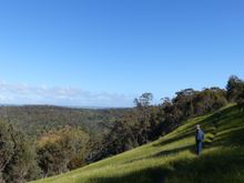 Beautiful spring day