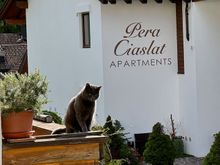 Our nextdoor neighbor