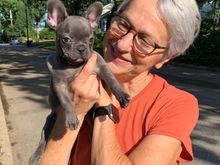 An 8 week old French bulldog took a liking to Joyce. Who wouldn’t! I don’t think she wanted to give it back to the owner, lol.