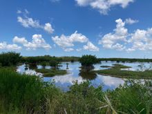 From trail In the Ten Thousand Islands