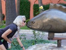 No frog was available 