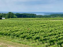 Winery #1 of 3 outside Traverse City 