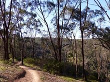 Nice day, nice trees