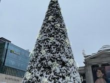 Snowy Christmas tree