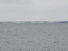 5 mile Island, usually rocks but today ice and snow covered. Lots of gulls and some ducks hanging around the island.