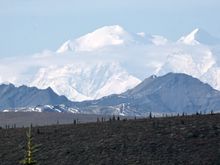 From the road in Denali NP,  with a telephoto lens