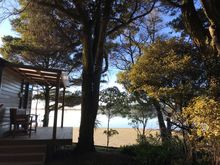 Last morning at Pounawea camping ground.