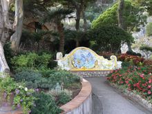 Walking through the lovely garden 