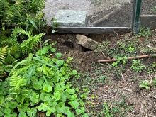 Highway to heave for some critter!
