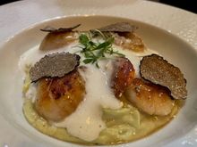 Saint Jacques, crème d’artichaut, truffes du coin @ Café Bovo