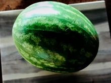 Been patiently waiting for the right time to slice open