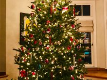 Merry Christmas from San Francisco!