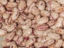 Beans. There was also an intriguing pure-white variety.