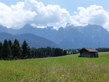 This was taken from that walk you recommended over the buckelwiesen, swandav, so beautiful.
Thanks for chiming in, too, Mel, I seem to be following in your footsteps!  