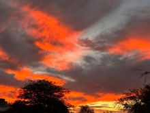 From the front yard.