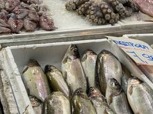 The large Central market - known for its fish and other local products
