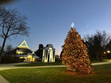 Campus tree lighting. 