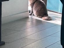 Finally some photos. 