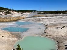 One of the milky blue hot springs at Norris Geyser Basin