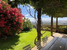 Lots of garden ‘rooms’ 