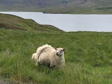 Somewhere along the road