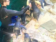 We enjoyed the aquarium 