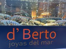 D'BERTO, Jewels of the Sea