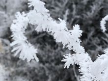 a light breath will blow off the frost.