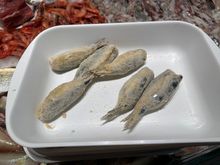 SARDE A BECCAFICO, BEFORE FRYING--TYPICAL CATANIA SARDINE DISH, not stuffed with raisins as in other parts of the island