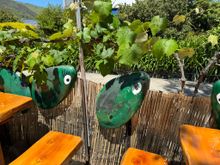 The pretty patio at The Mussel Pot