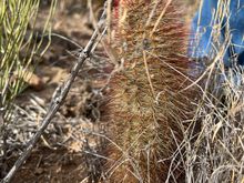 Be careful where you step.