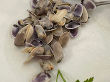 Tallerines, tiny clams, but no sauce