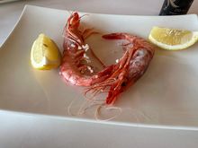 A pair of Denia prawns