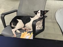 This guy loved it though!