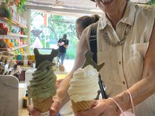 Vanilla and Green Tea ice cream