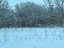 some snowy photos for those that never have to shovel the stuff.