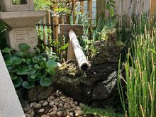 Yanaka - residential garden
