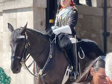 I don't know how long their shifts are, but it is a testament to both rider and horse.