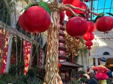 a pomegranate tree. (fake, like most Las Vegas eye candy)