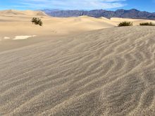 Mesquite Flat Sand Dunes