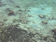 I could blow this up and hang on my wall