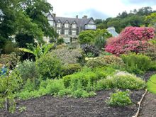 On the way back to Bodnant Hall