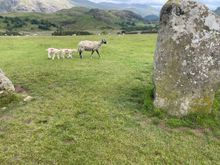 We just got back playing paintball, it was a blase