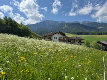 Another view from the Santa Maddalena Trail