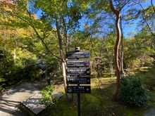 Last walk to the onset