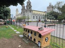 Cat houses in 7th of June park