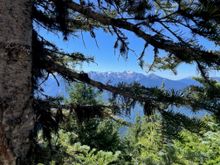 "Arty" shot of the mountains through the trees